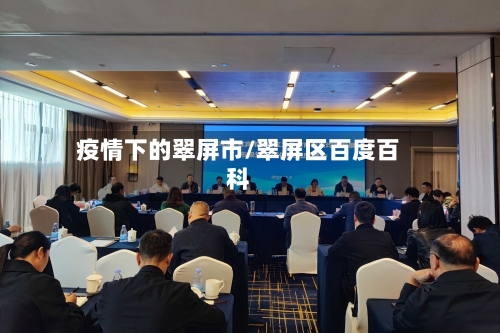 疫情下的翠屏市/翠屏区百度百科