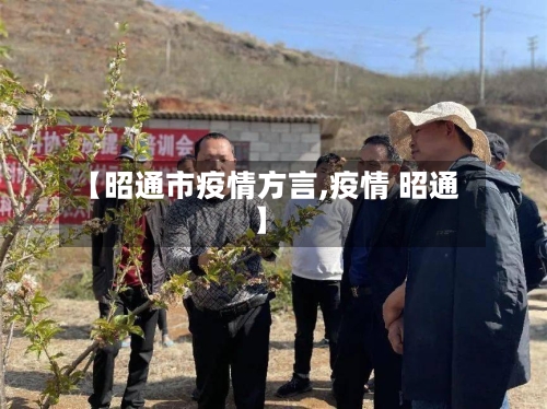 【昭通市疫情方言,疫情 昭通】