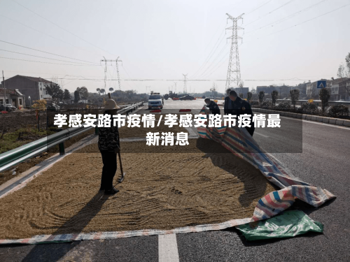 孝感安路市疫情/孝感安路市疫情最新消息