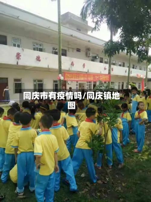 同庆市有疫情吗/同庆镇地图