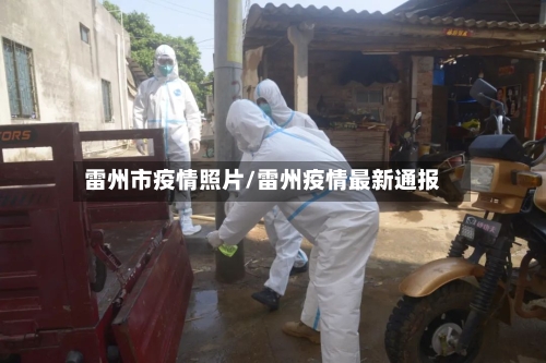 雷州市疫情照片/雷州疫情最新通报