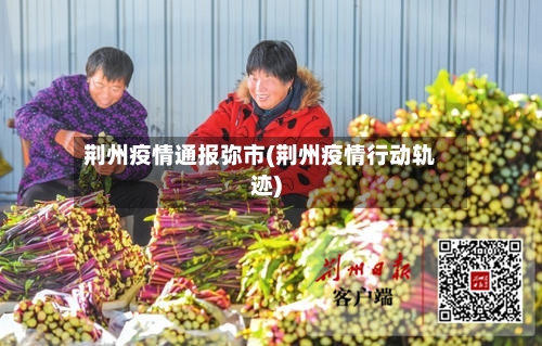 荆州疫情通报弥市(荆州疫情行动轨迹)-第2张图片