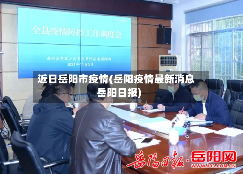 近日岳阳市疫情(岳阳疫情最新消息岳阳日报)-第3张图片