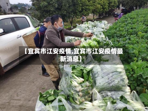 【宜宾市江安疫情,宜宾市江安疫情最新消息】-第2张图片