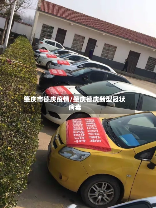 肇庆市德庆疫情/肇庆德庆新型冠状病毒