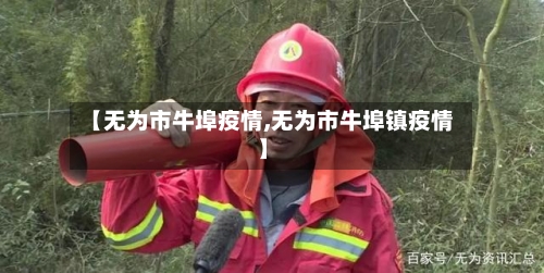 【无为市牛埠疫情,无为市牛埠镇疫情】-第3张图片