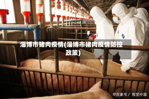 淄博市猪肉疫情(淄博市猪肉疫情防控政策)-第2张图片