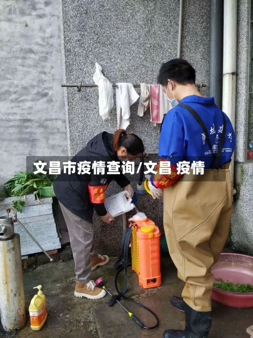文昌市疫情查询/文昌 疫情
