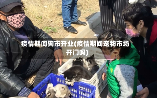 疫情期间狗市开业(疫情期间宠物市场开门吗)