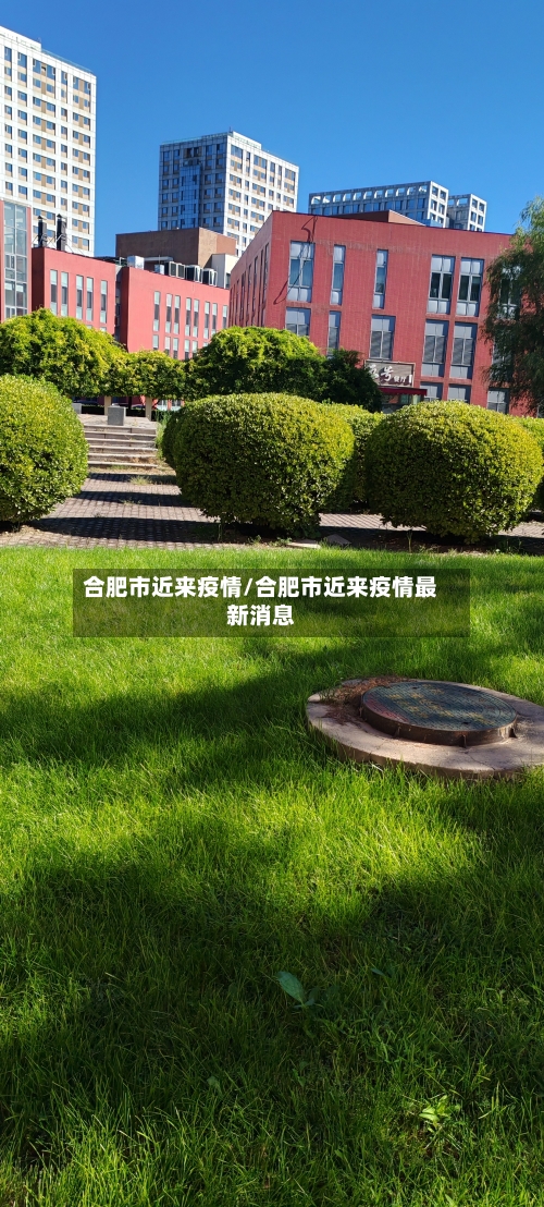 合肥市近来疫情/合肥市近来疫情最新消息-第2张图片