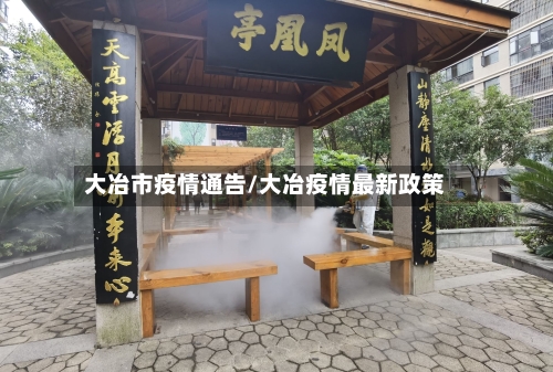 大冶市疫情通告/大冶疫情最新政策