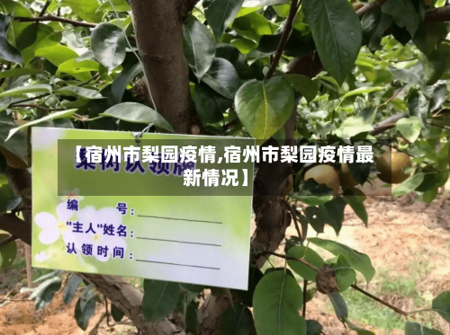 【宿州市梨园疫情,宿州市梨园疫情最新情况】