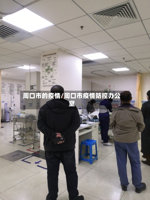 周口市的疫情/周口市疫情防控办公室