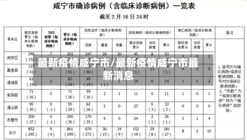 最新疫情咸宁市/最新疫情咸宁市最新消息
