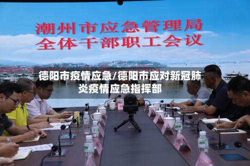 德阳市疫情应急/德阳市应对新冠肺炎疫情应急指挥部