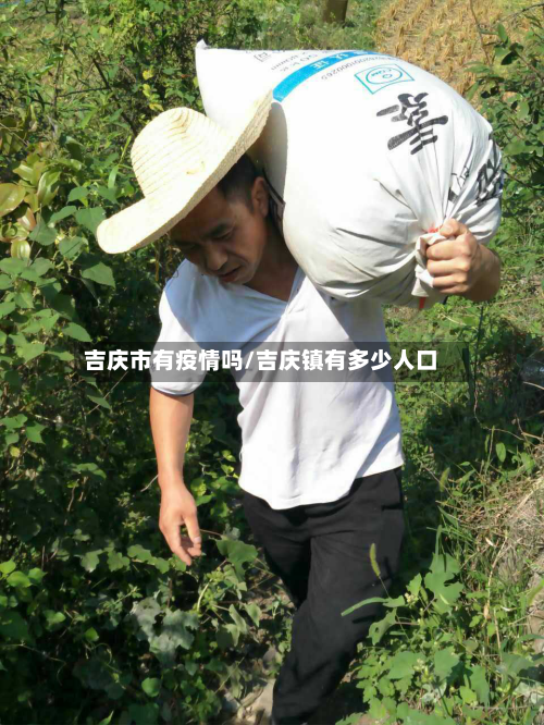 吉庆市有疫情吗/吉庆镇有多少人口