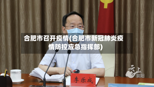 合肥市召开疫情(合肥市新冠肺炎疫情防控应急指挥部)