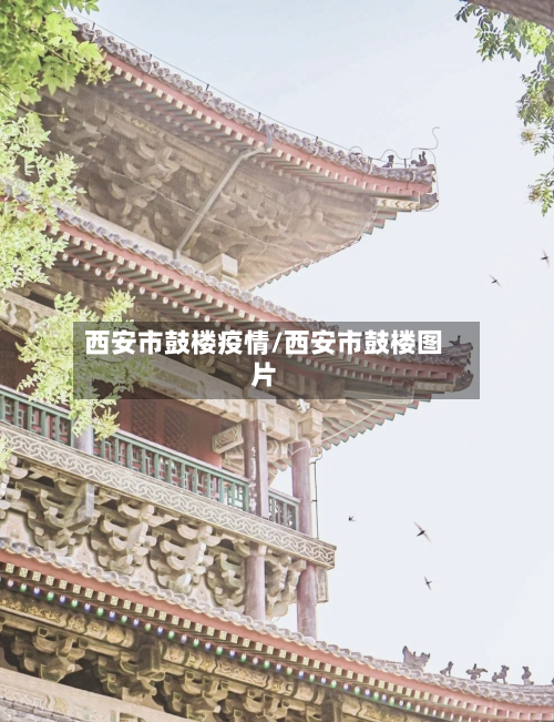 西安市鼓楼疫情/西安市鼓楼图片-第2张图片