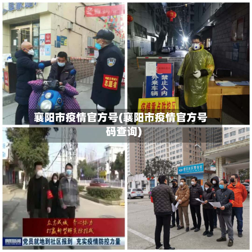 襄阳市疫情官方号(襄阳市疫情官方号码查询)