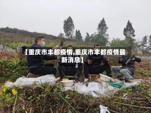 【重庆市丰都疫情,重庆市丰都疫情最新消息】-第2张图片