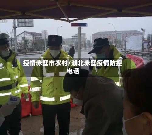 疫情赤壁市农村/湖北赤壁疫情防控电话-第2张图片