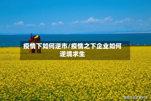疫情下如何逆市/疫情之下企业如何逆境求生