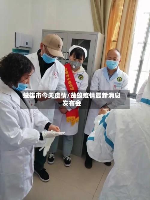 楚雄市今天疫情/楚雄疫情最新消息发布会-第2张图片