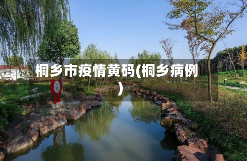 桐乡市疫情黄码(桐乡病例)-第3张图片