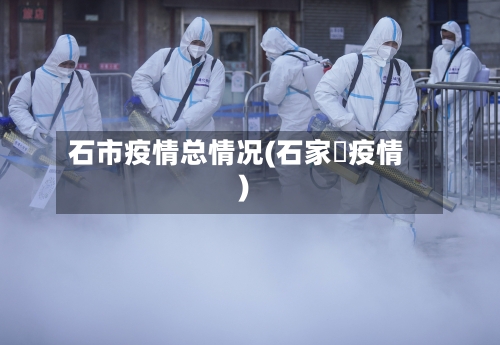 石市疫情总情况(石家庒疫情)-第3张图片