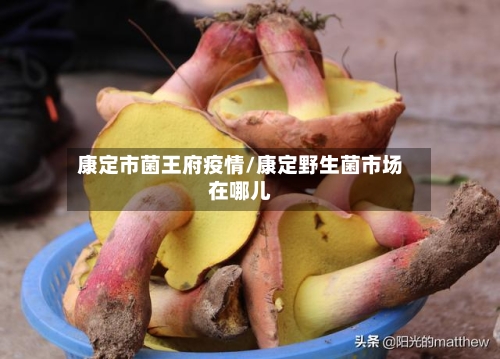 康定市菌王府疫情/康定野生菌市场在哪儿