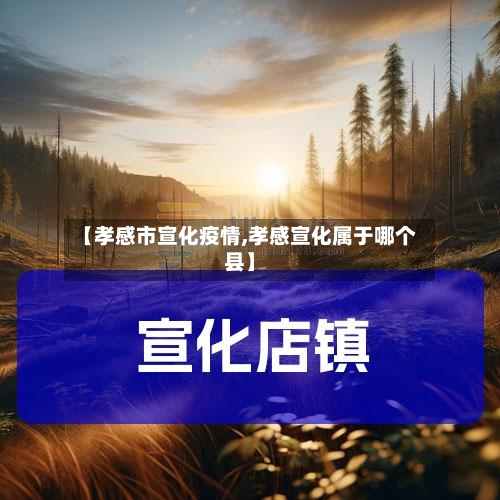 【孝感市宣化疫情,孝感宣化属于哪个县】