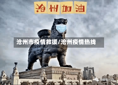 沧州市疫情救援/沧州疫情热线-第2张图片