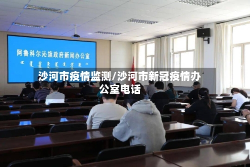 沙河市疫情监测/沙河市新冠疫情办公室电话