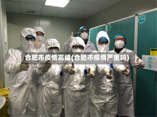 合肥市疫情高峰(合肥市疫情严重吗)-第2张图片