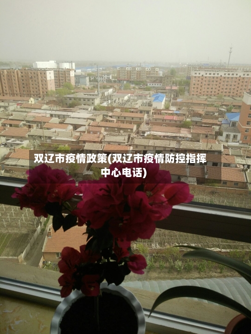 双辽市疫情政策(双辽市疫情防控指挥中心电话)-第2张图片