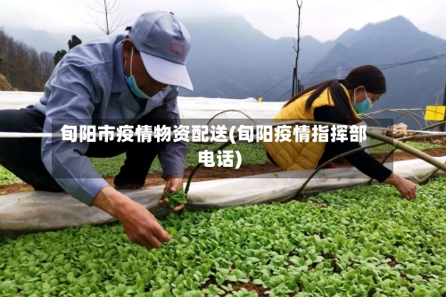 旬阳市疫情物资配送(旬阳疫情指挥部电话)