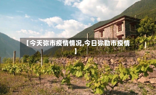 【今天弥市疫情情况,今日弥勒市疫情】