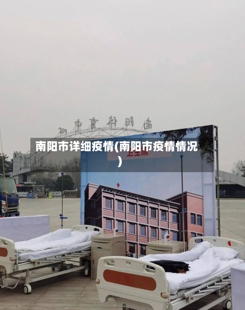 南阳市详细疫情(南阳市疫情情况)-第2张图片
