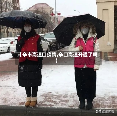 【辛市高速口疫情,辛口高速开通了吗】