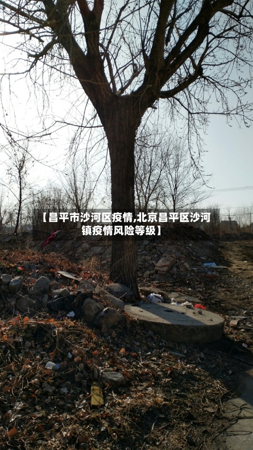 【昌平市沙河区疫情,北京昌平区沙河镇疫情风险等级】-第2张图片
