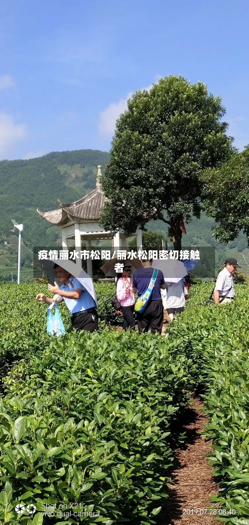 疫情丽水市松阳/丽水松阳密切接触者-第2张图片