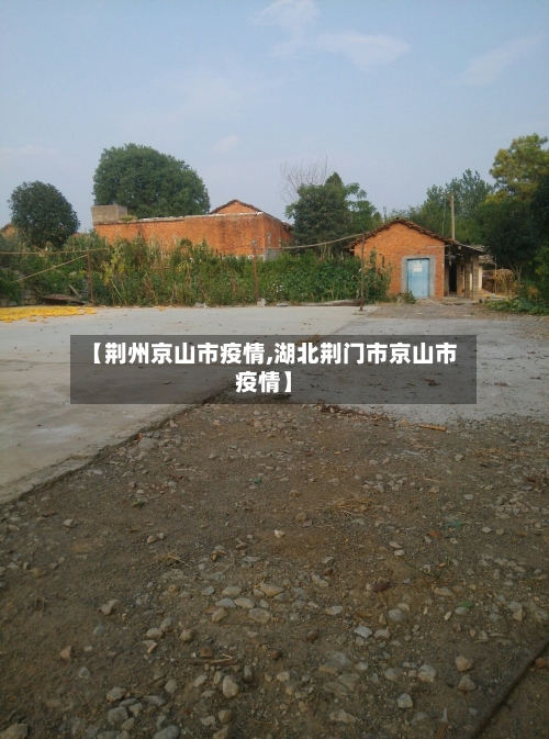 【荆州京山市疫情,湖北荆门市京山市疫情】-第2张图片