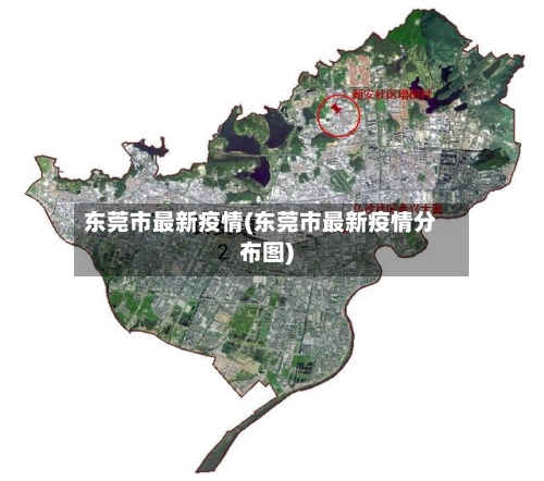 东莞市最新疫情(东莞市最新疫情分布图)-第2张图片
