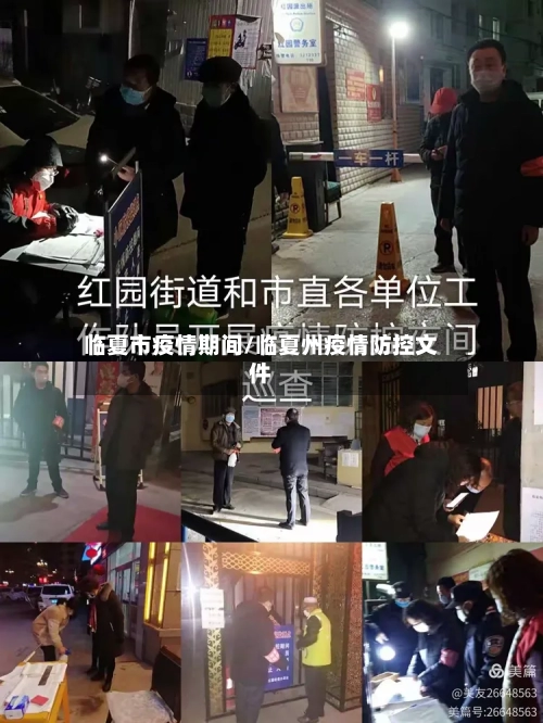 临夏市疫情期间/临夏州疫情防控文件-第2张图片