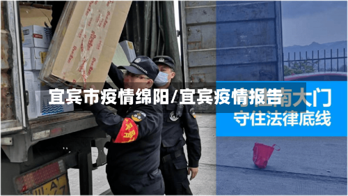 宜宾市疫情绵阳/宜宾疫情报告