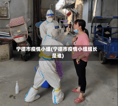 宁德市疫情小组(宁德市疫情小组组长是谁)