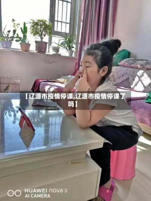 【辽源市疫情停课,辽源市疫情停课了吗】-第2张图片