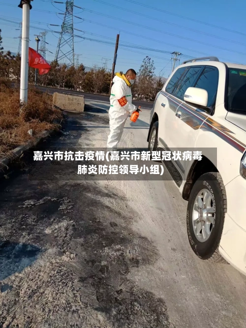 嘉兴市抗击疫情(嘉兴市新型冠状病毒肺炎防控领导小组)-第2张图片