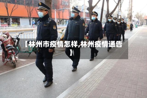 【林州市疫情怎样,林州疫情通告】-第2张图片