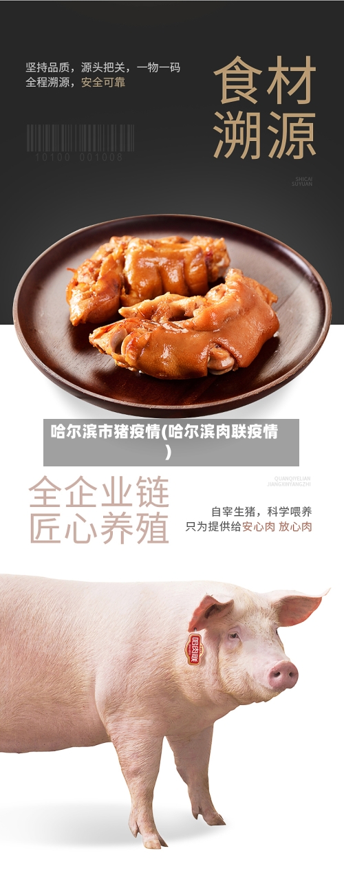 哈尔滨市猪疫情(哈尔滨肉联疫情)